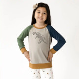 Little & Lively 'Jurassic at Heart' Pullover - Colour Block